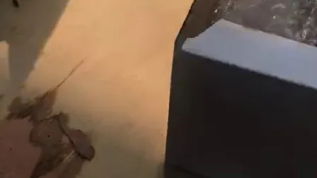 304 316 2205 Stainless Steel Glass Fitting Accessories Glass Standoff for Handrail Railing New OEM Standoff Glass Holder