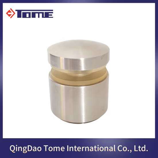 304 316 2205 Stainless Steel Glass Fitting Accessories Glass Standoff for Handrail Railing