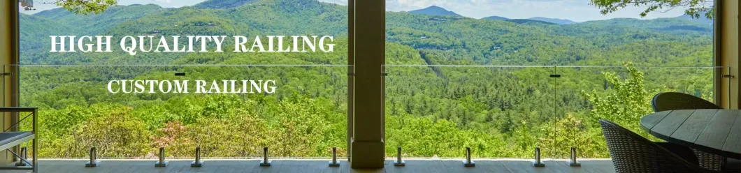 Factory Price Glass Railing Outdoor Frameless Railing for Balcony