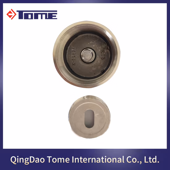 304 316 2205 Stainless Steel Glass Fitting Accessories Glass Standoff for Handrail Railing